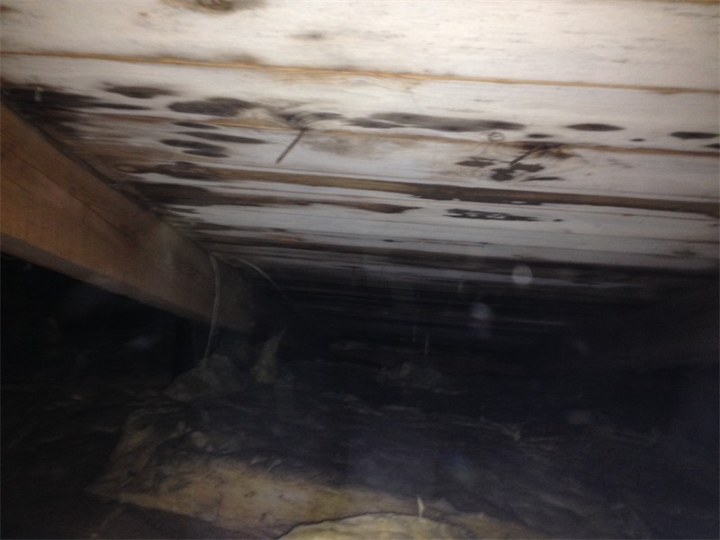 Mikrobiell påväxt, Mariestad Mikrobiell påväxt, Mariestad