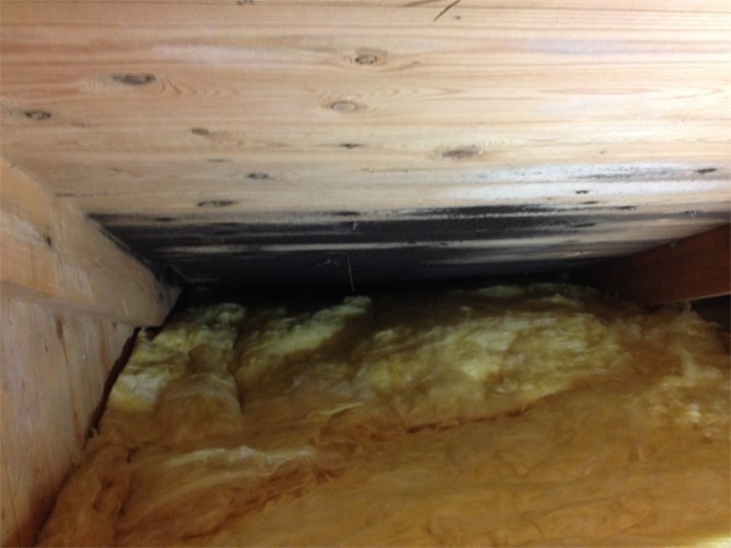 Svartmögel vind, Bunkeflostrand Svartmögel vind, Bunkeflostrand